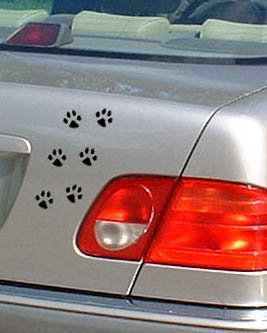 paw print decal